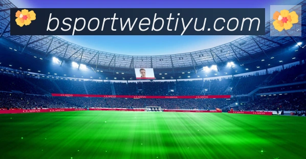 Bsports官网荣誉