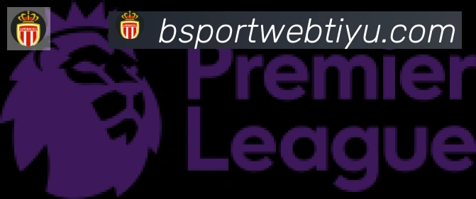 Bsports官网合作伙伴